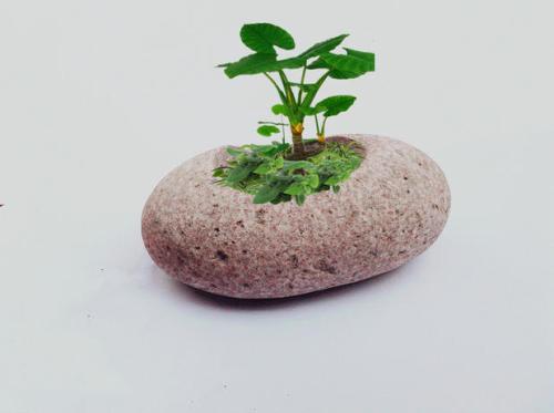  辦公室裝修財神擺放位置禁忌 辦公室裝修財神爺最佳擺放的位置？